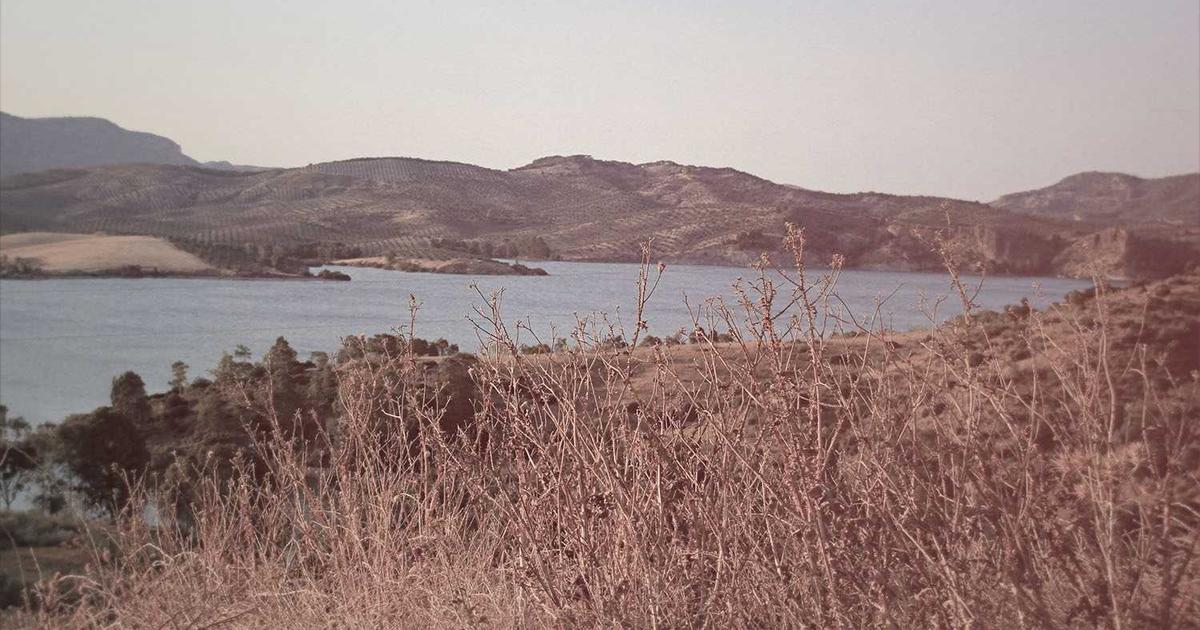 DROPIDEA | دروب ايديا - 8 operating systems that exist, but not much is known about them