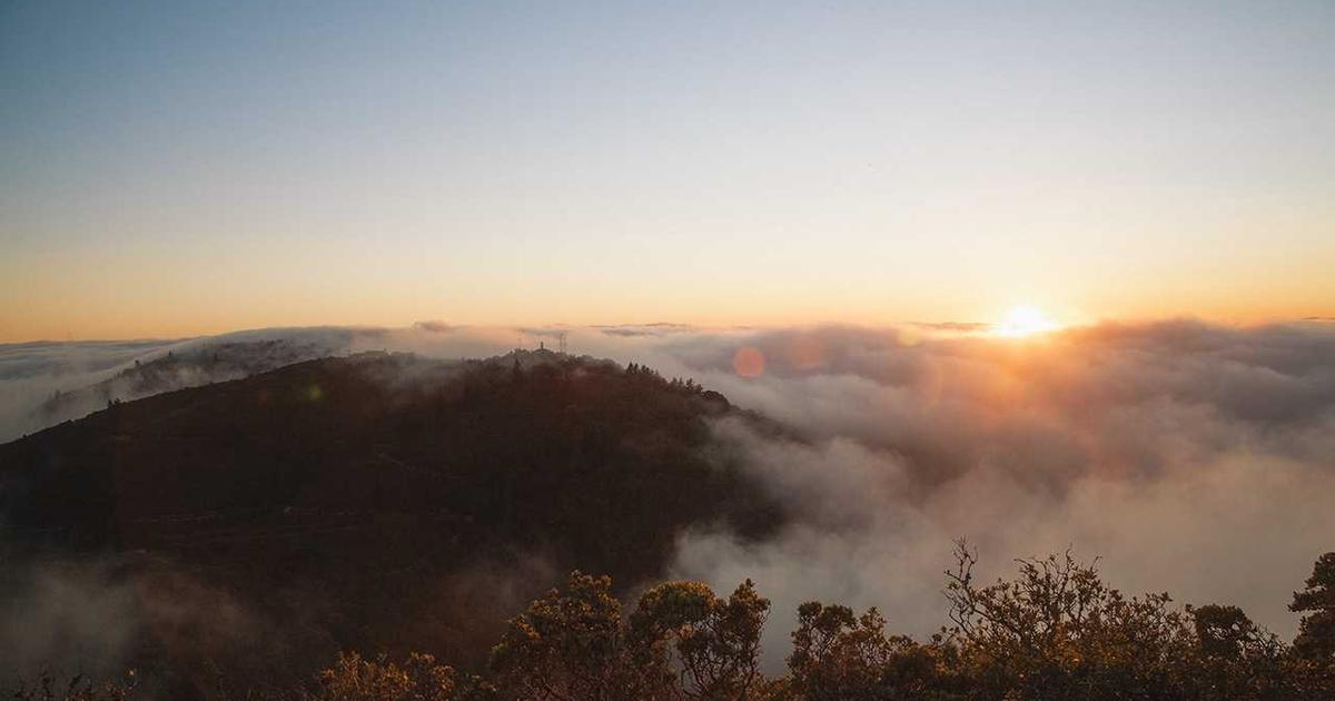 DROPIDEA | دروب ايديا - 9 tips to increase the speed of WordPress for your website