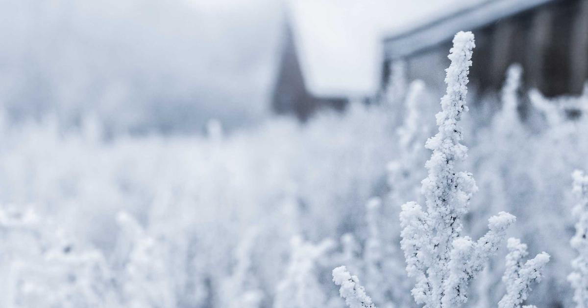 DROPIDEA | دروب ايديا - The best antivirus programs for 2025, free and paid