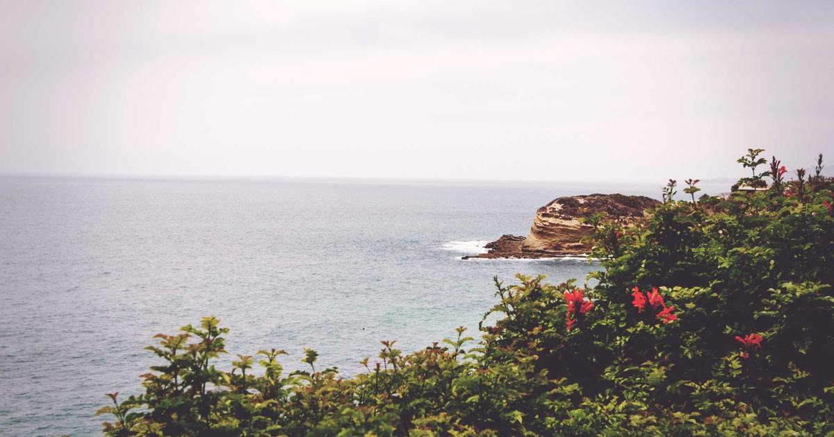 DROPIDEA | دروب ايديا - Traveling virtually in the Metaverse will become a reality...this is what Emirates Airlines is planning