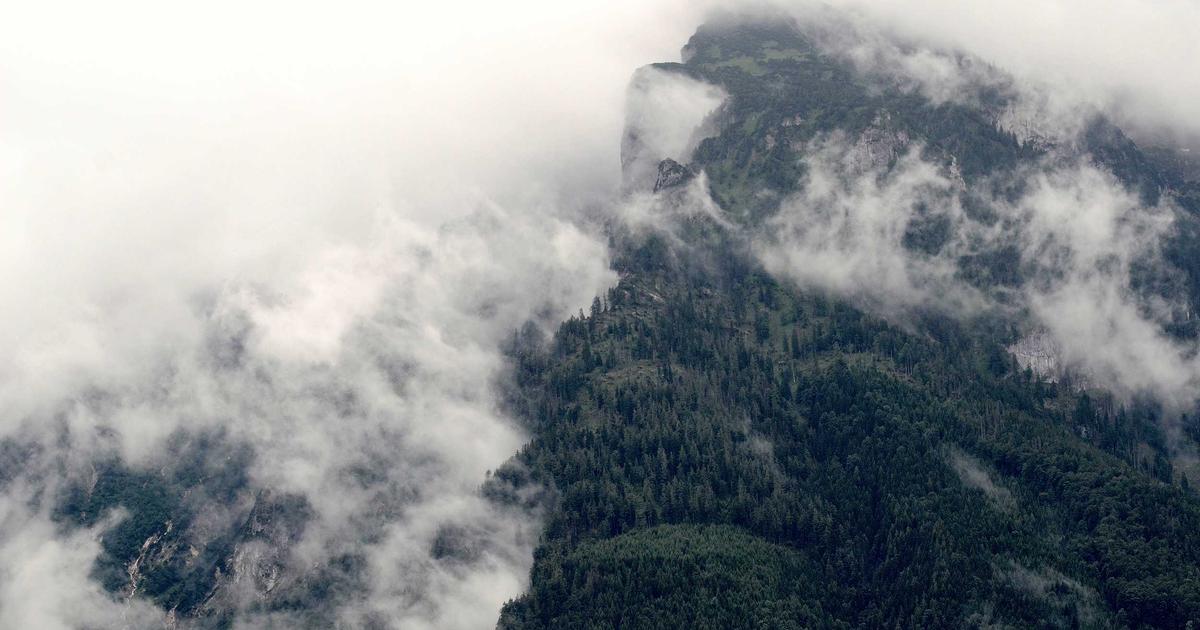 DROPIDEA | دروب ايديا - East vs. West – How does cryptocurrency adoption compare?