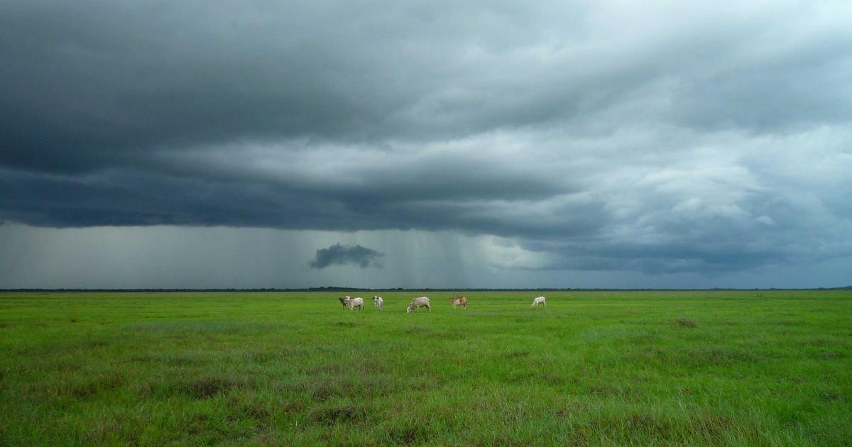 DROPIDEA | دروب ايديا - Types of websites you can choose one of for your next project