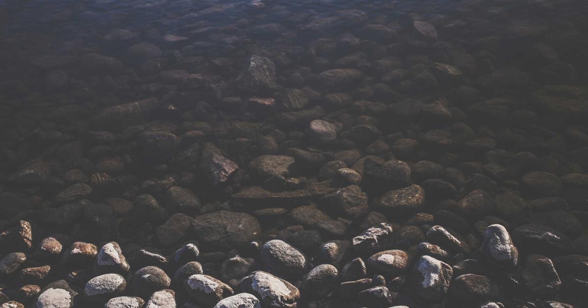 DROPIDEA | دروب ايديا -  Create a free WordPress website