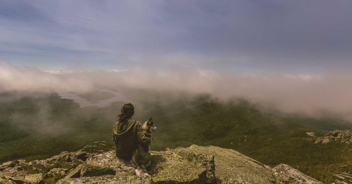 DROPIDEA | دروب ايديا - American writer Stephen King withdrew from Facebook for this reason