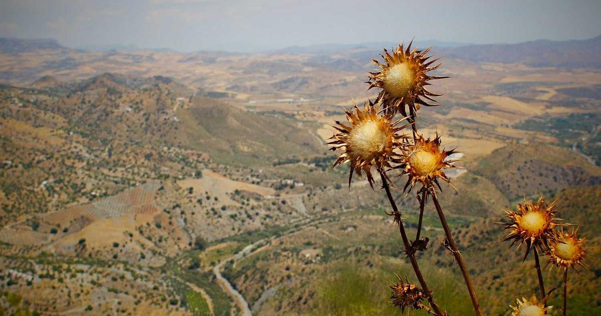 DROPIDEA | دروب ايديا - Reasons why you should invest in KleeKai currency as soon as possible