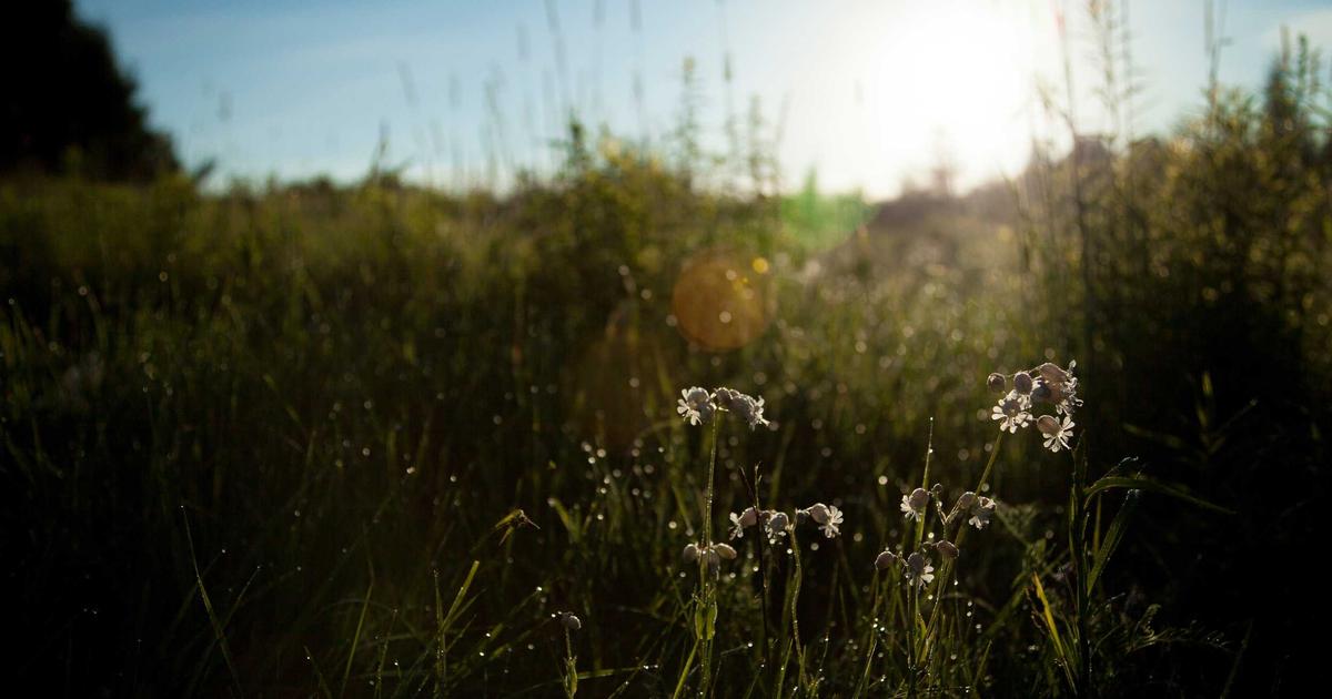 DROPIDEA | دروب ايديا - Distinctive uses of the CoinMarketCap platform that everyone should know about