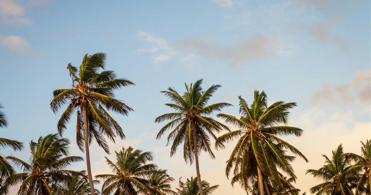 DROPIDEA | دروب ايديا - Dubai awards 100,000 dirhams in a new technology competition