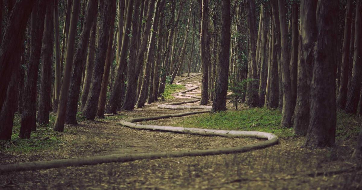 DROPIDEA | دروب ايديا - Your guide to learning about the WagyuSwap platform and its currencies