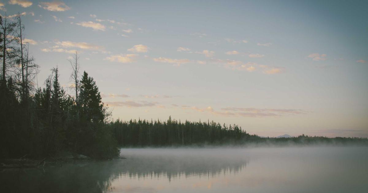 DROPIDEA | دروب ايديا - All ways to protect WordPress from hacking and hacker attacks easily