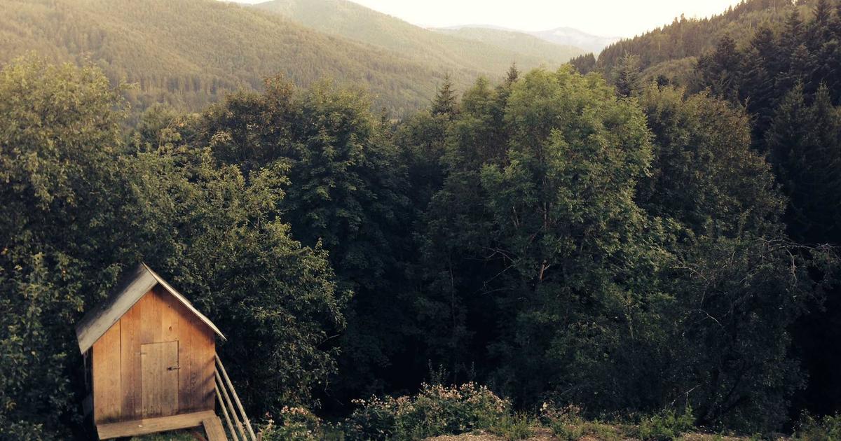 DROPIDEA | دروب ايديا - Google will soon add another update in the field of site compatibility with the smartphone