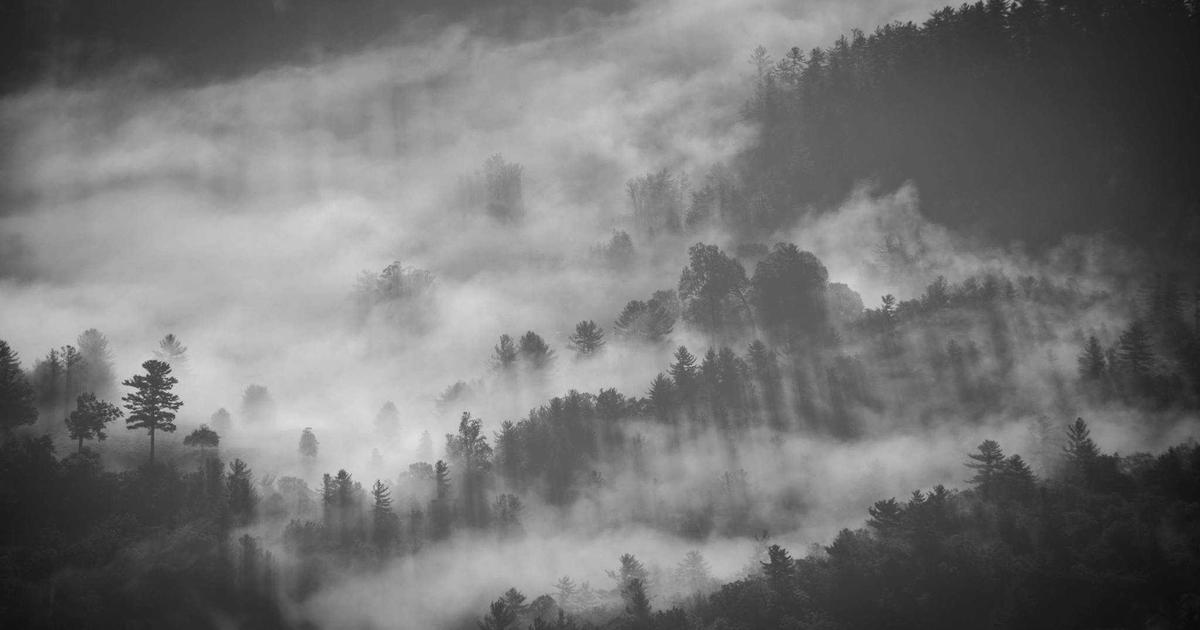 DROPIDEA | دروب ايديا - Google is testing the possibility of real-time archiving