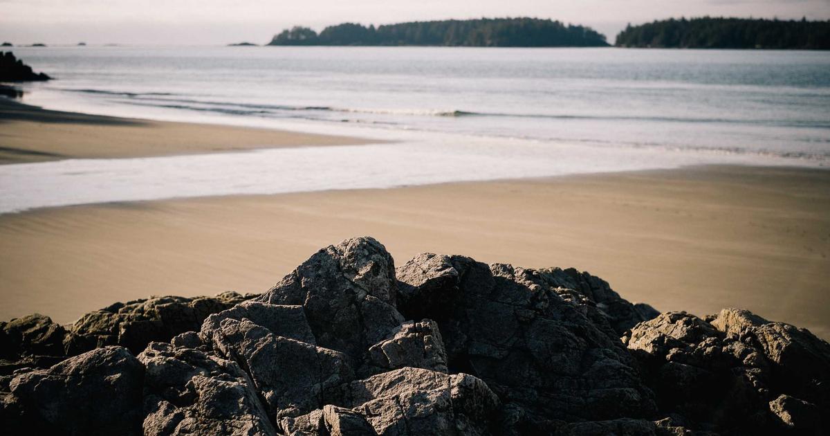 DROPIDEA | دروب ايديا - Google reveals the reason for the disappearance of Google My Business reviews