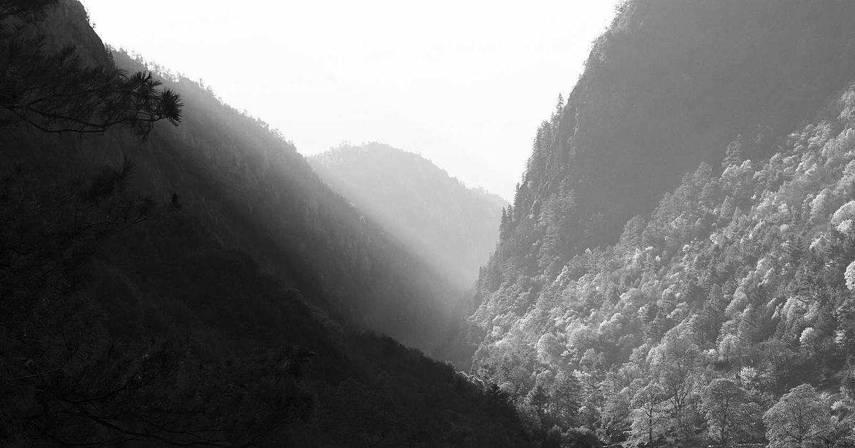 DROPIDEA | دروب ايديا - Google stops Android and Google Play for its devices in Türkiye for this reason