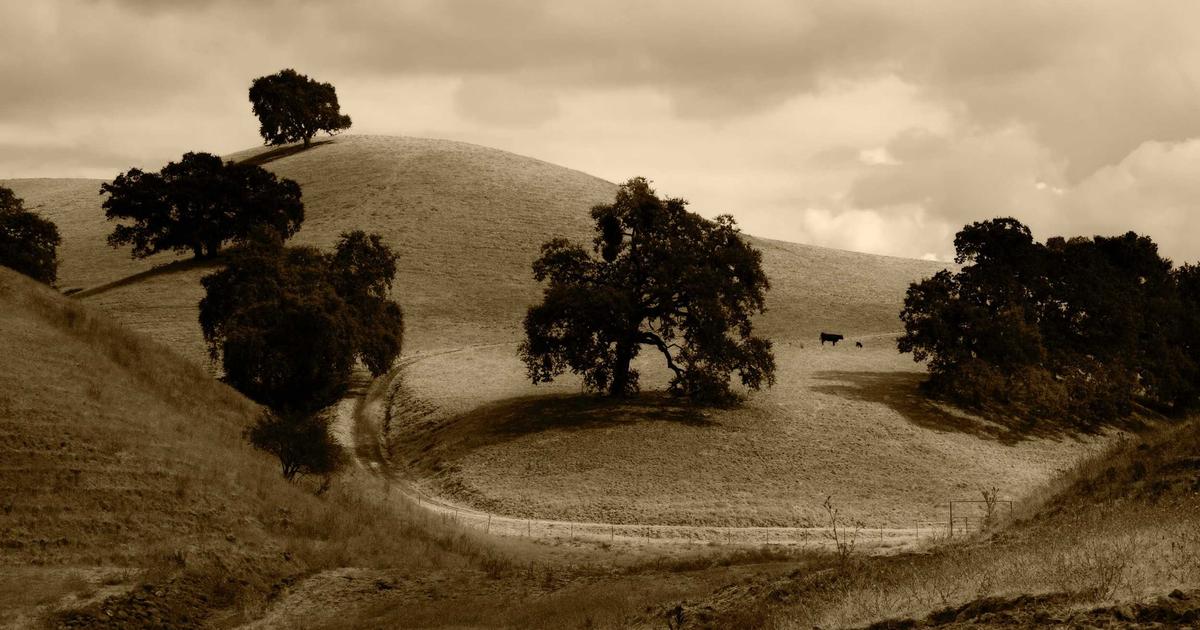 DROPIDEA | دروب ايديا - Google launches Google Ads Editor 1.0 and this is its latest feature