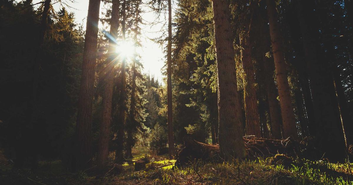 DROPIDEA | دروب ايديا - These are the most important platforms that provide you with a bank card to purchase cryptocurrencies