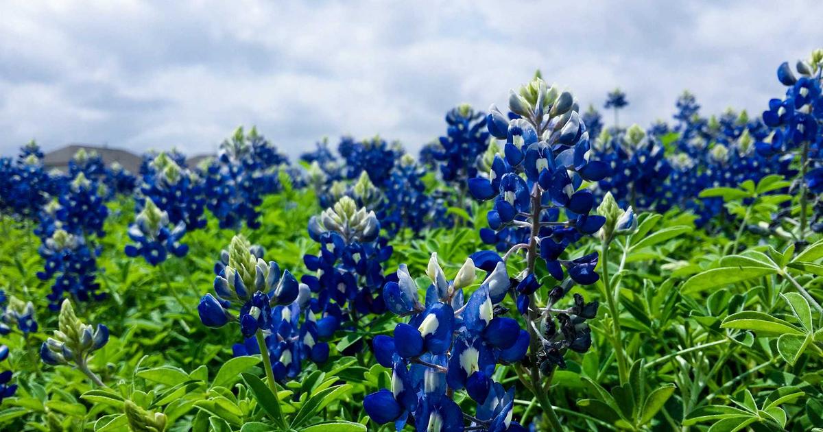 DROPIDEA | دروب ايديا - A strong jump in the price of the LUNA coin... Will the coin recover itself soon?