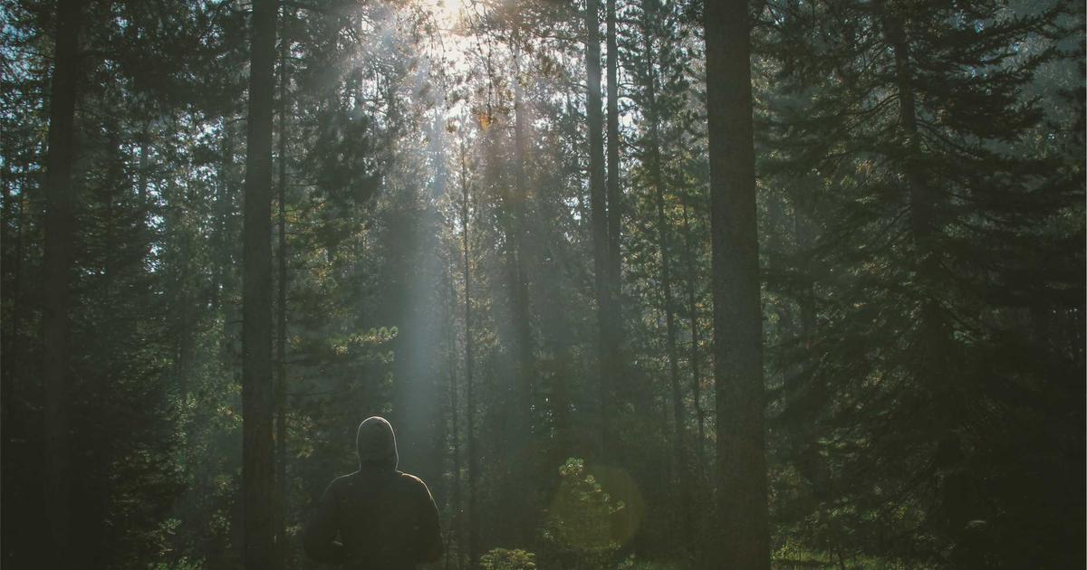 DROPIDEA | دروب ايديا - How did the clever so platform develop machine translation?