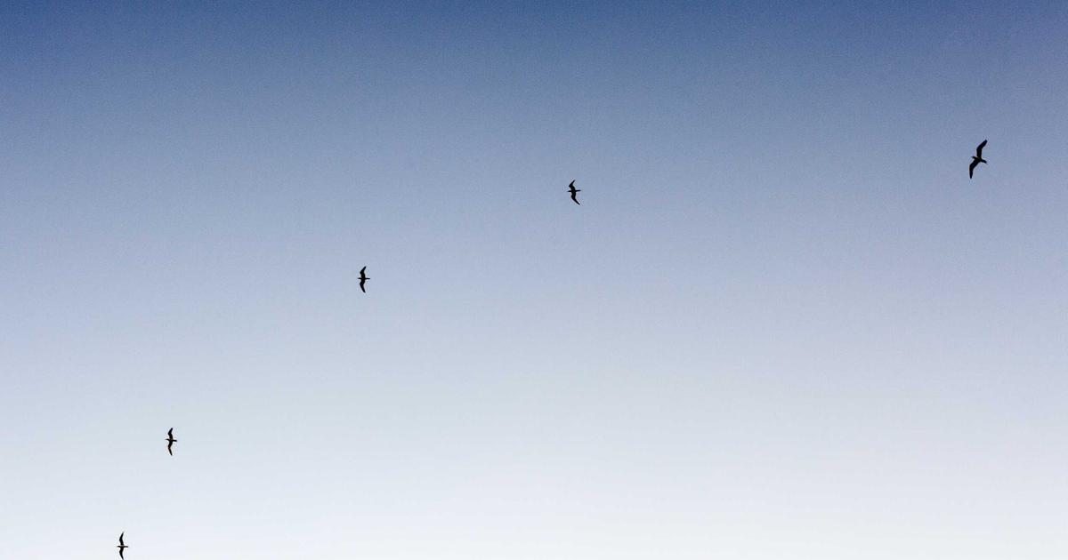 DROPIDEA | دروب ايديا - How to buy Dogecoin?