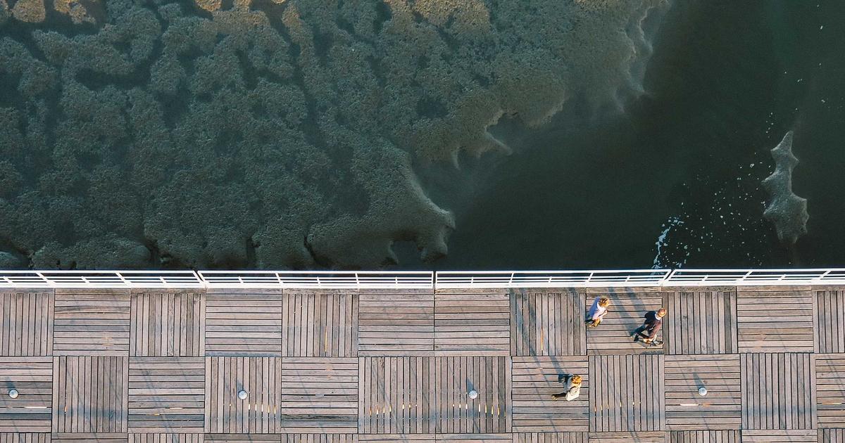 DROPIDEA | دروب ايديا - How does artificial intelligence contribute to combating global warming?