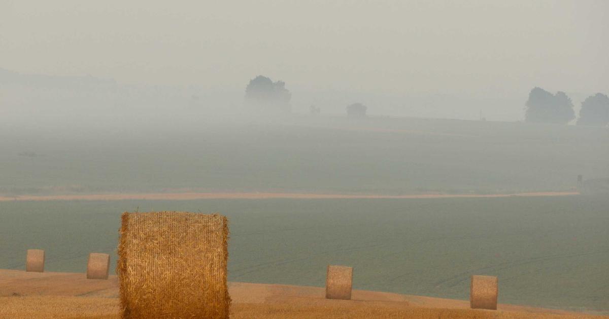 DROPIDEA | دروب ايديا - How to disable automatic Windows 10 app updates