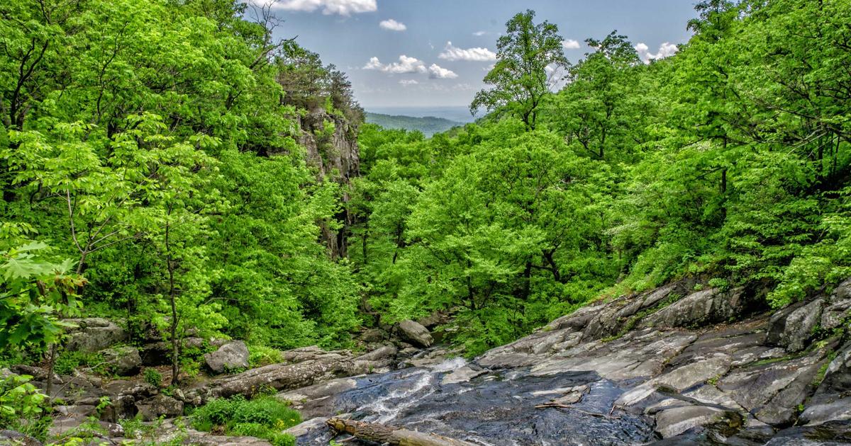 DROPIDEA | دروب ايديا - How to play GIF animation in Windows