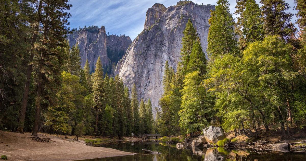 DROPIDEA | دروب ايديا - Don't miss the opportunity to invest in the emerging Kishu coin