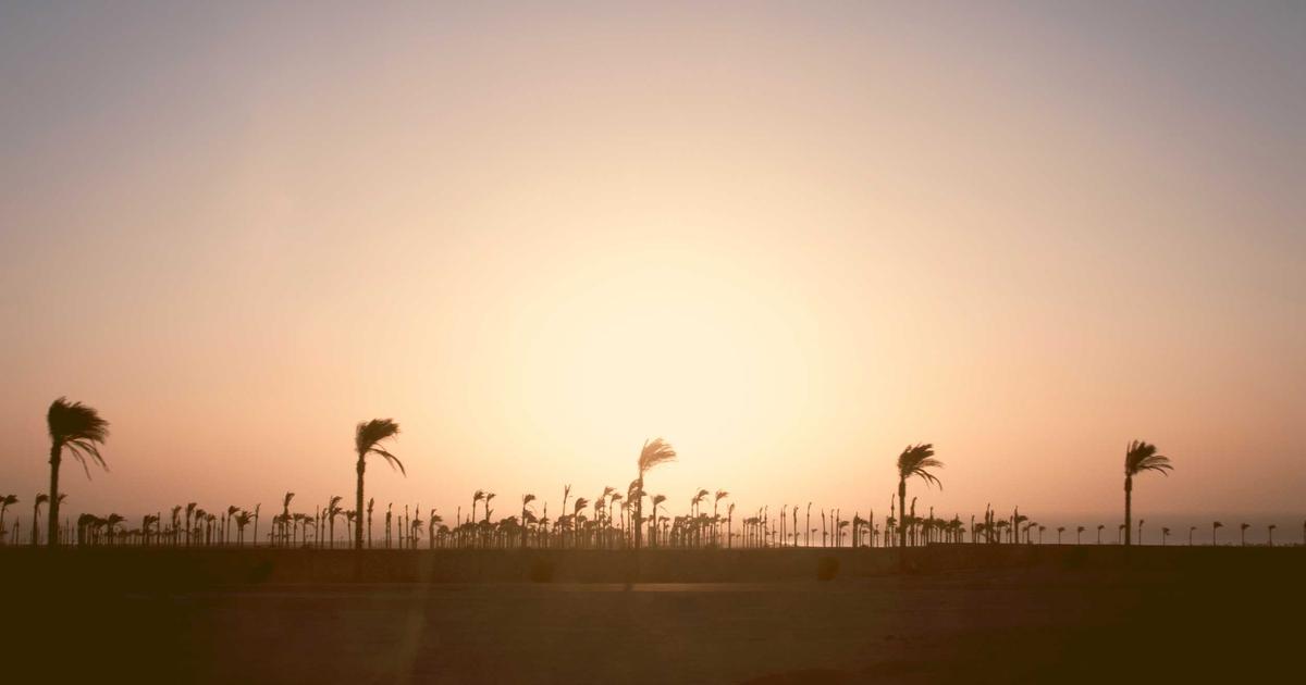 DROPIDEA | دروب ايديا - Paid search remains the dominant digital advertising channel in 2019