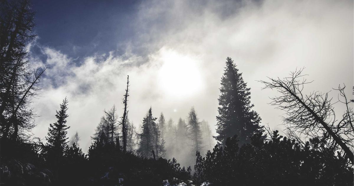 DROPIDEA | دروب ايديا - Why might 2022 be the year of Cardano (ADA) par excellence?