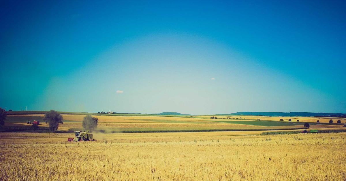 DROPIDEA | دروب ايديا - Why you should start thinking about investing in the Avalanche cryptocurrency