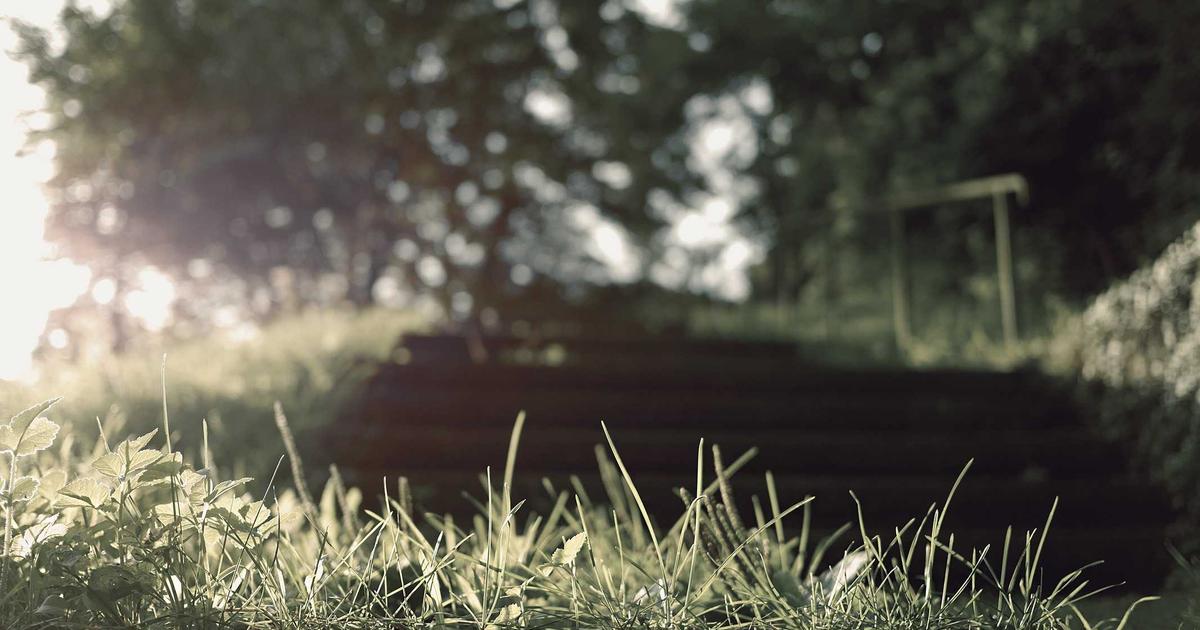 DROPIDEA | دروب ايديا - What is the right time to invest in gold?