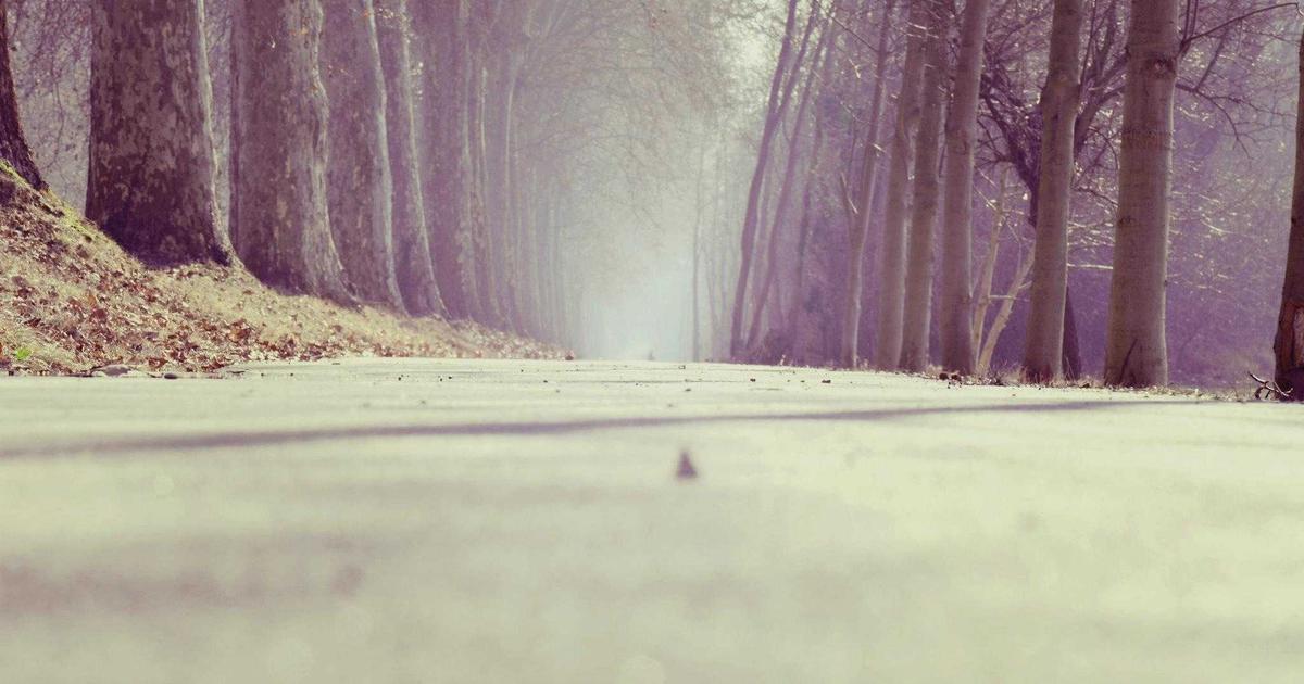 DROPIDEA | دروب ايديا - What is Near Protocol, its uses and its own currency NEAR