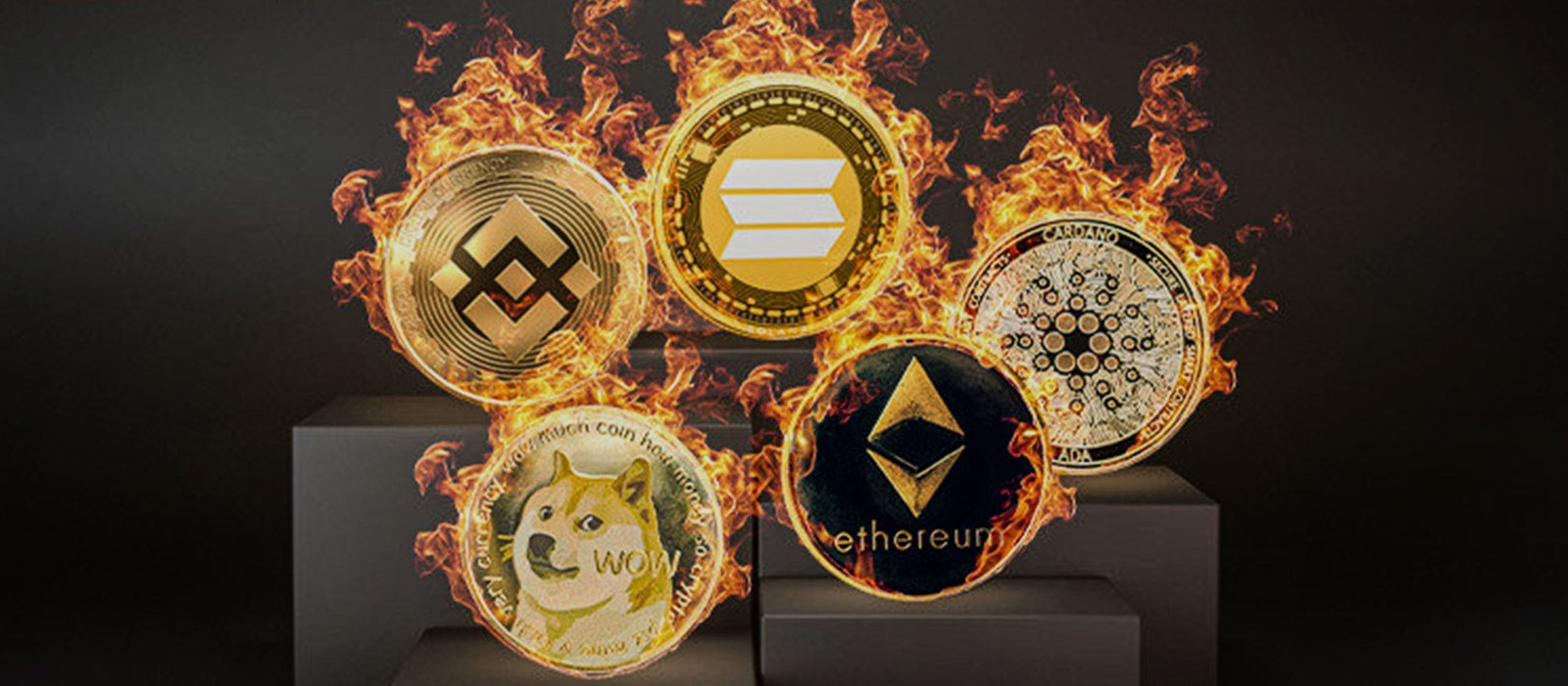 DROPIDEA | دروب ايديا - What's the next cryptocurrency to explode in 2022?