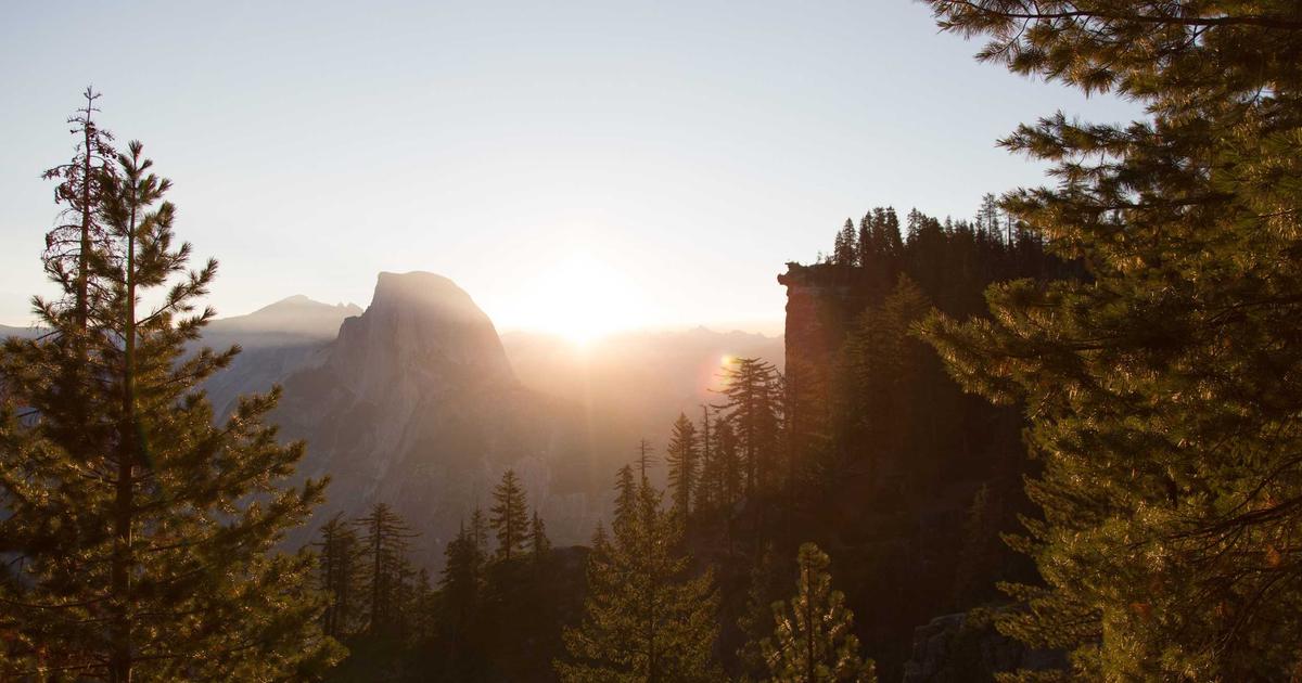 DROPIDEA | دروب ايديا - Rain platform adds more cryptocurrencies for investment... Get to know them now