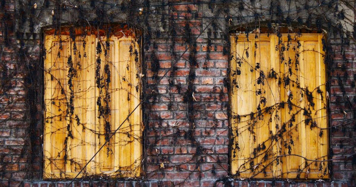 DROPIDEA | دروب ايديا - A review of the most important features of GeForce RTX 40 graphics cards for gamers