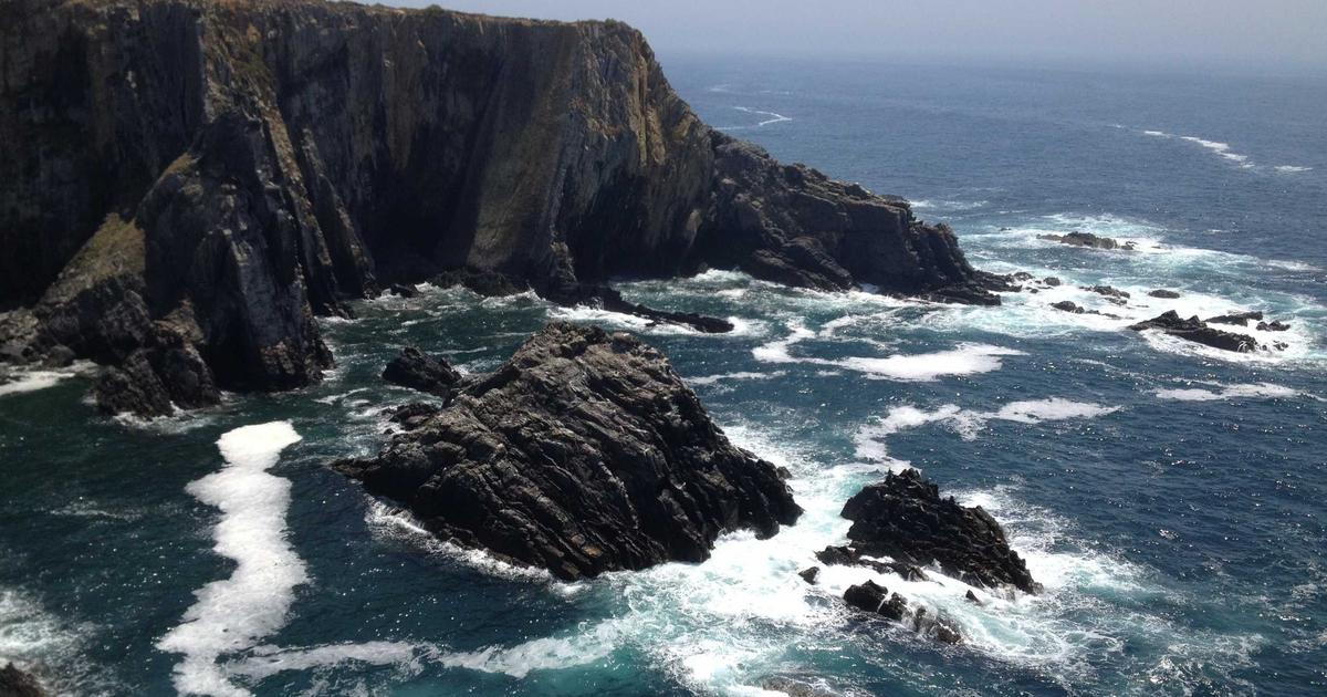 DROPIDEA | دروب ايديا - The future of ICP coin...what is it? How do you invest in it?