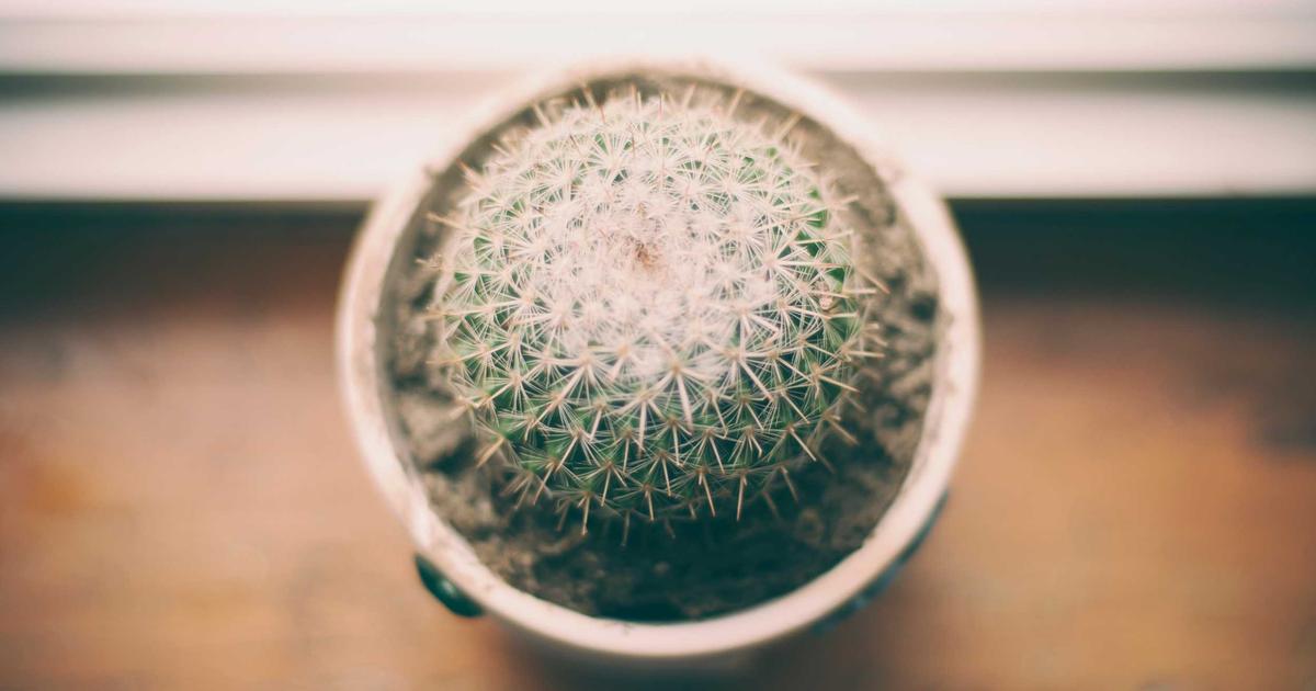 DROPIDEA | دروب ايديا - Russia is one of the largest digital currency mining centers in the world