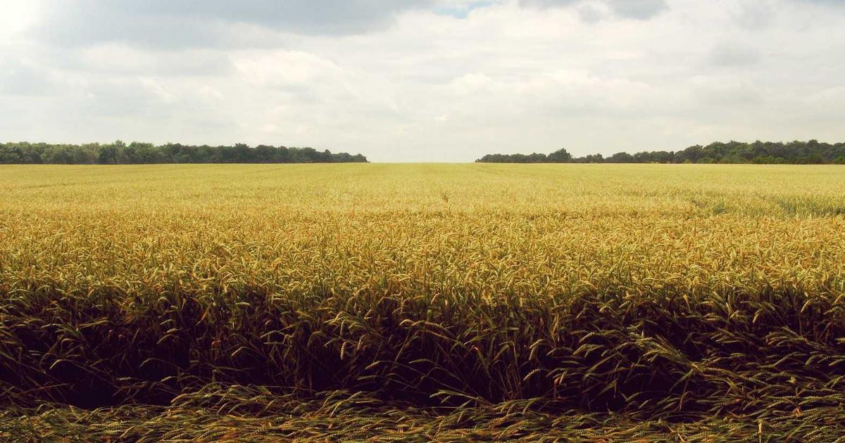 DROPIDEA | دروب ايديا - Learn about DevOps software development