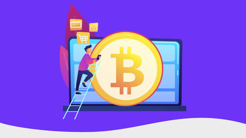 DROPIDEA | دروب ايديا - Enable cryptocurrency payments (e.g. Bitcoin) in your WooCommerce store