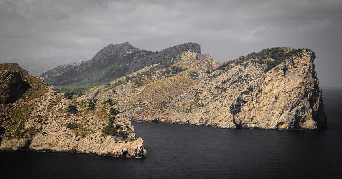 DROPIDEA | دروب ايديا - New updates about PayPal support for purchasing cryptocurrencies... explore them with us