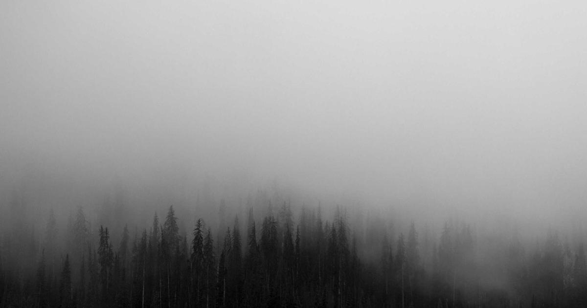 DROPIDEA | دروب ايديا - Analysis and download of the book The Feminine Mystery - Live