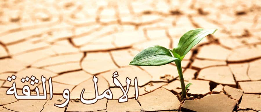 DROPIDEA | دروب ايديا - Download 25 books on self-development and human development