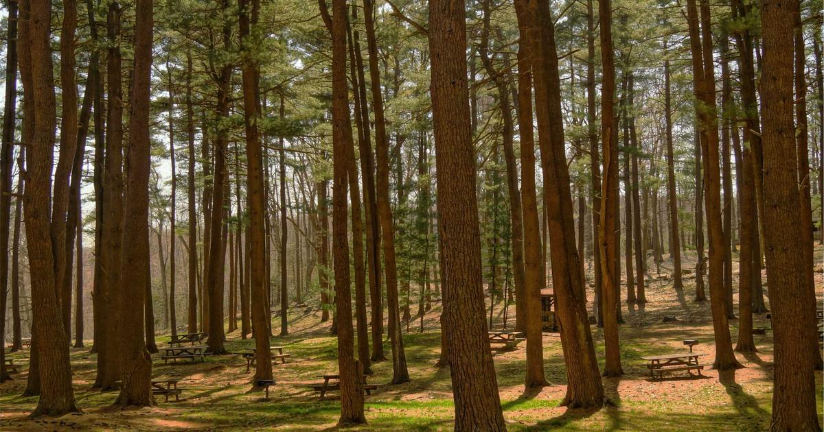 DROPIDEA | دروب ايديا - Valve bans blockchain-based games from Steam