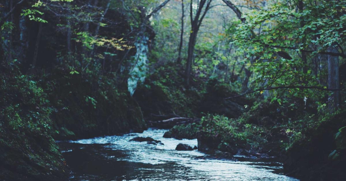 DROPIDEA | دروب ايديا - Expert predictions for cryptocurrencies 2022