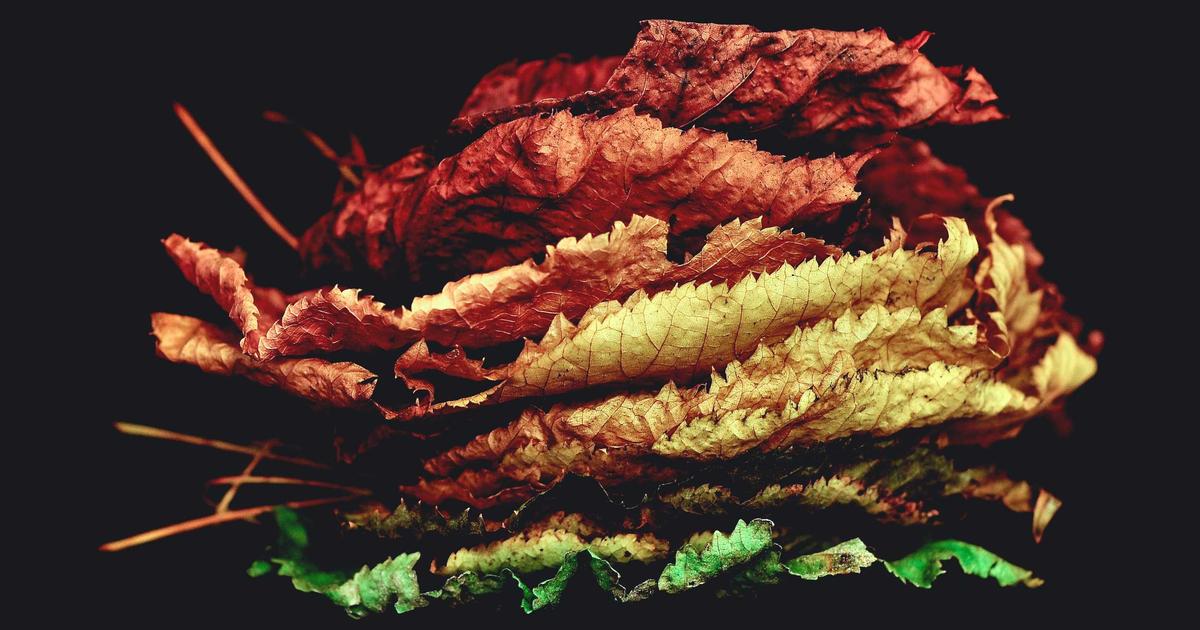 DROPIDEA | دروب ايديا - How to make a strong, high-quality backlink to your website