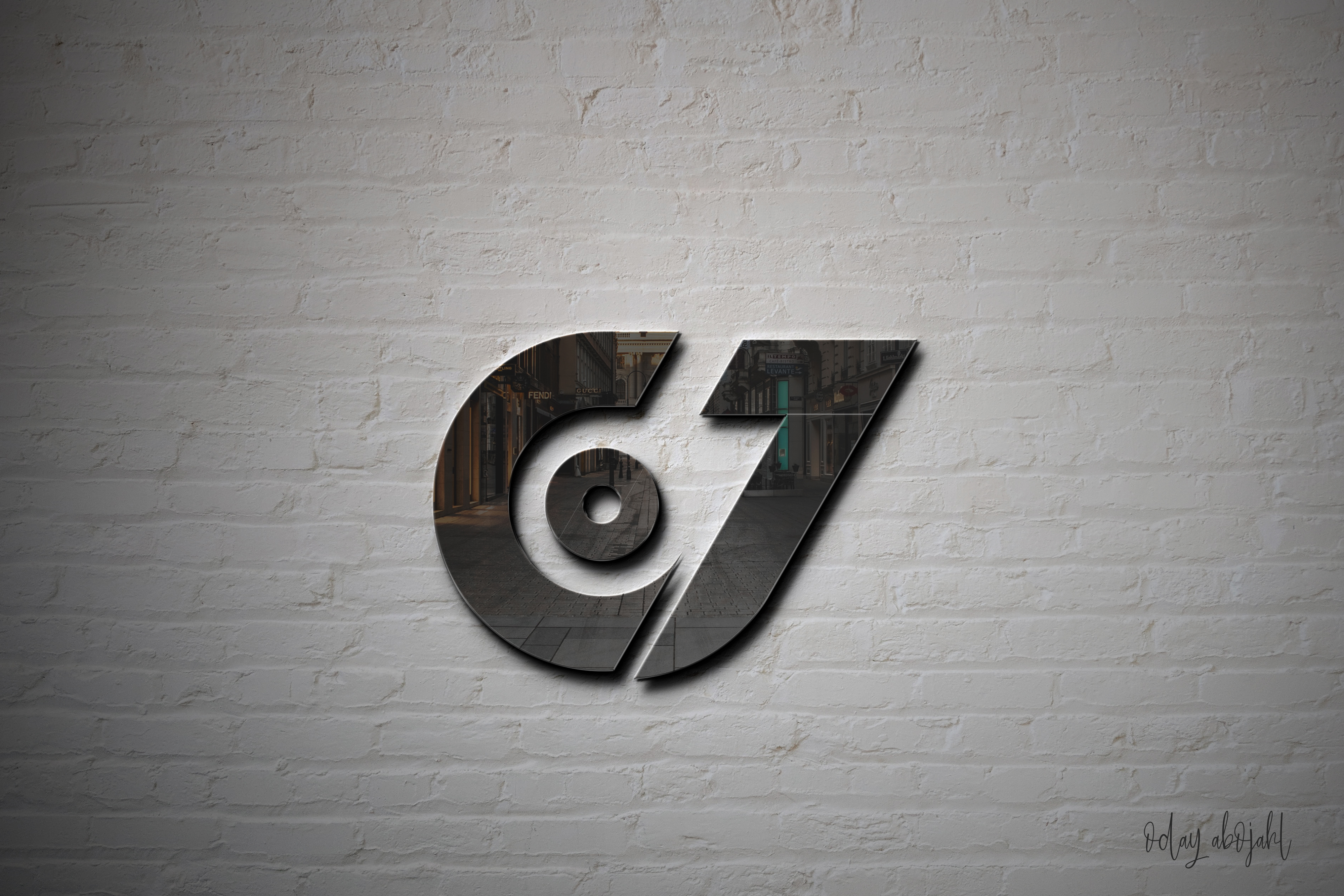 Professional Logo Design