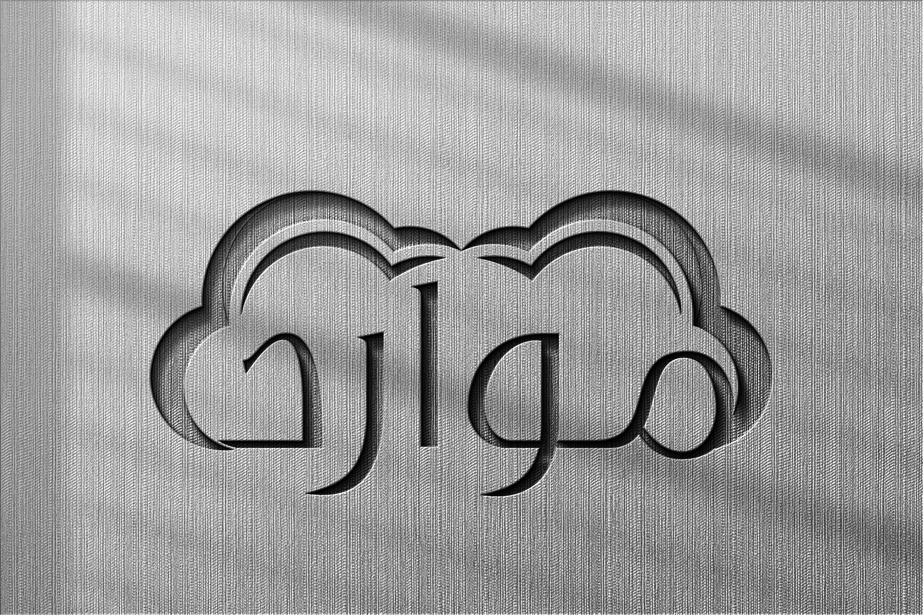 Professional Logo Design