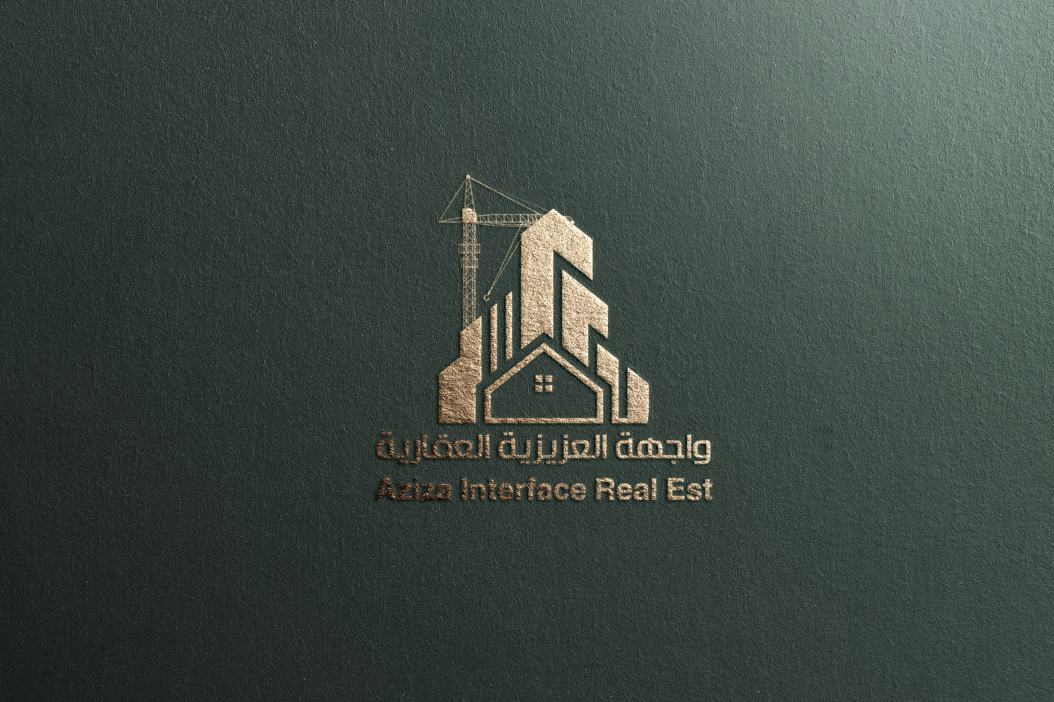 Professional Logo Design