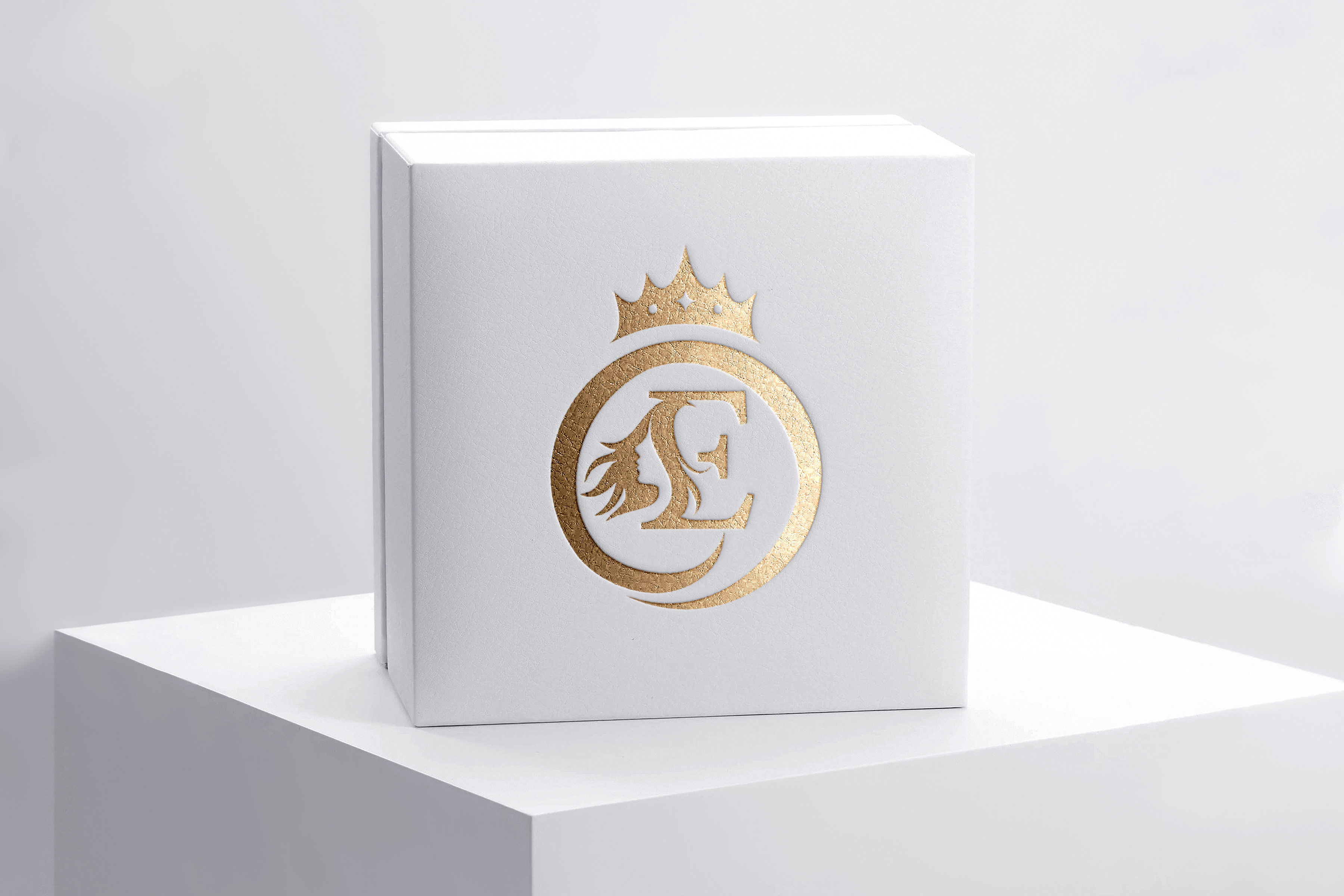 Professional Logo Design