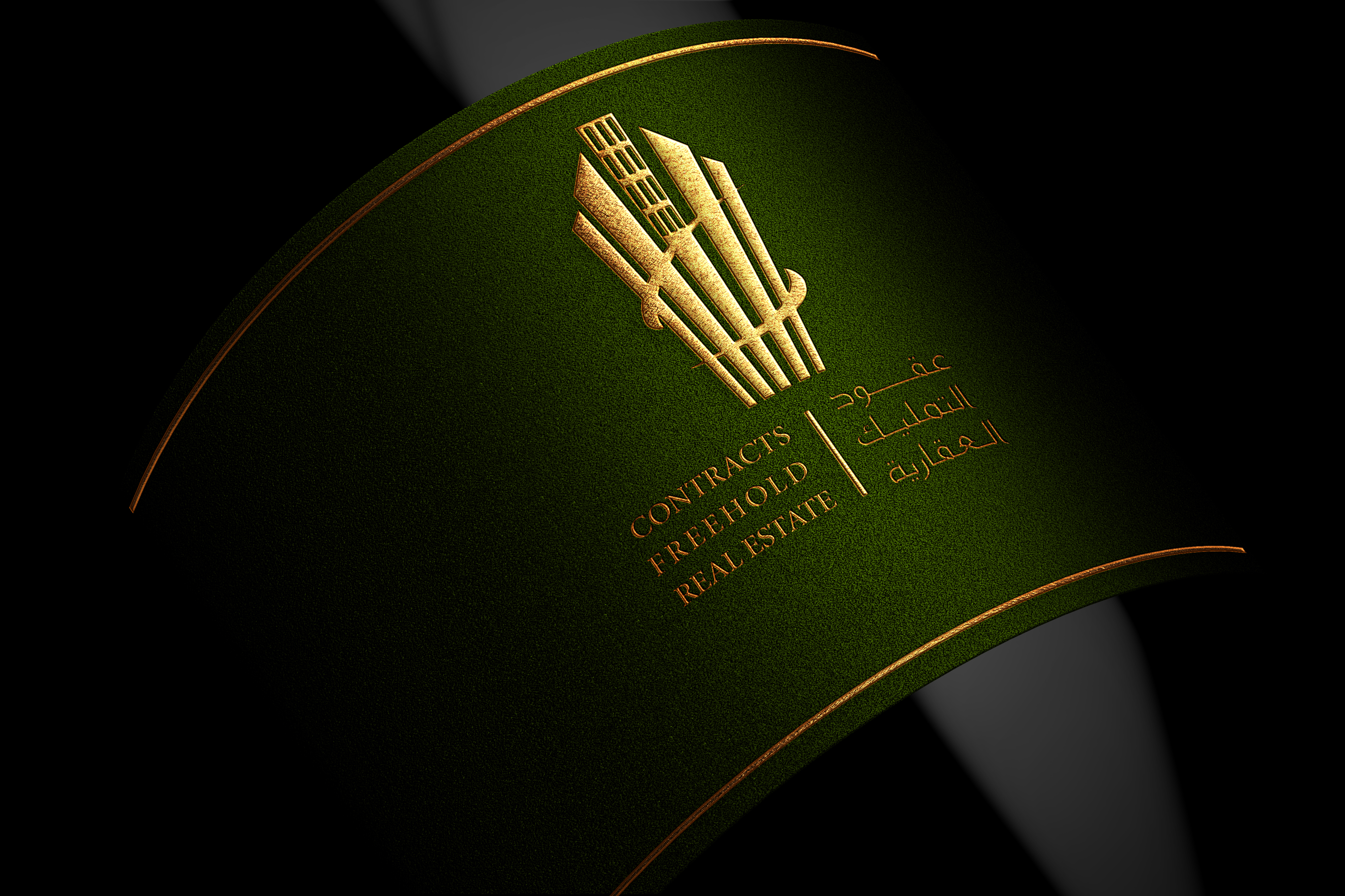 Professional Logo Design