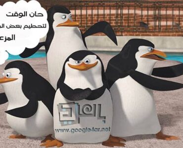 58df8f_778085d97cb04f5da9f3036bb8e3717fmv2